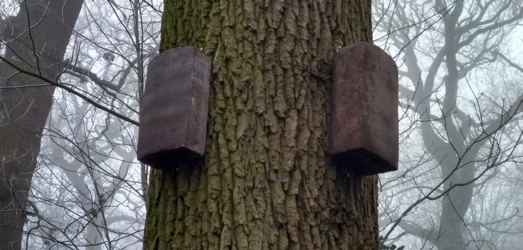 Bat boxes